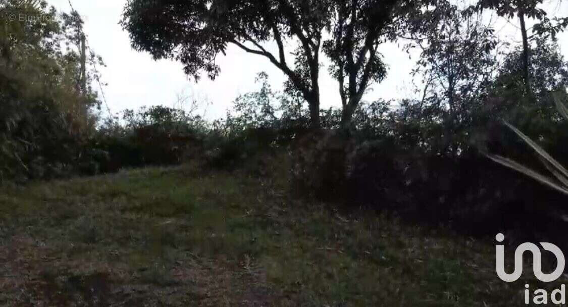 Photo 6 - Terrain à SAINT-DENIS