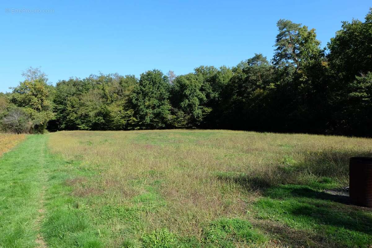 Maison à MIRAMONT-DE-GUYENNE