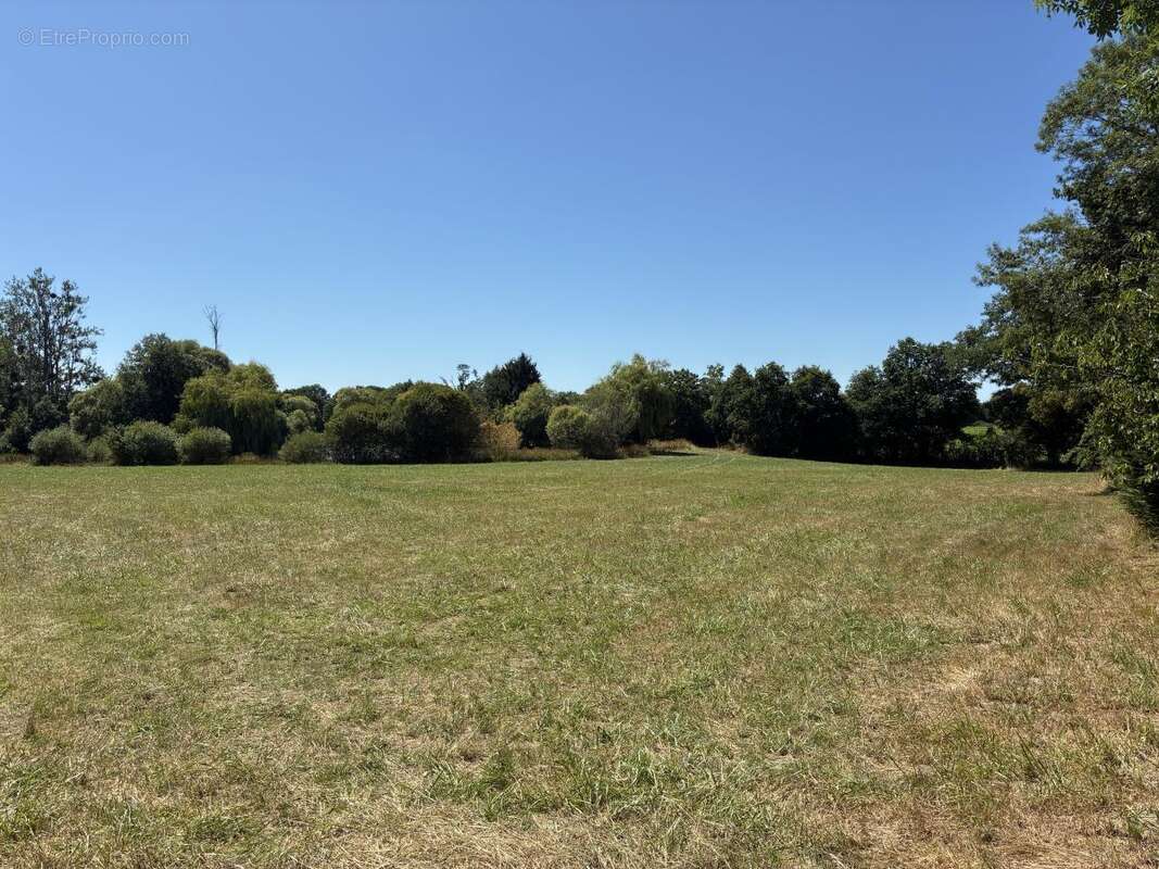 Terrain à LA BAZOUGE-DES-ALLEUX