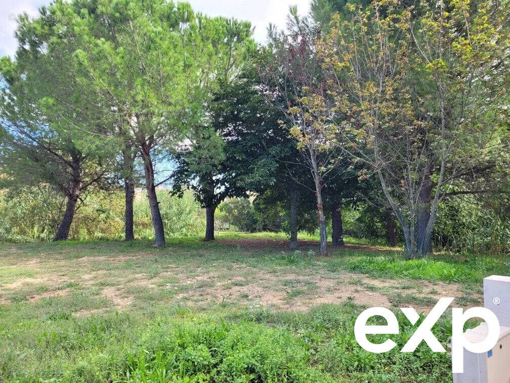 Terrain à JUVIGNAC