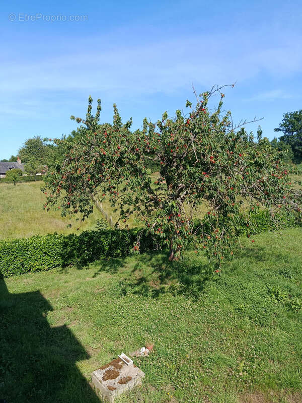 Maison à SAINT-GEORGES-DES-GROSEILLERS