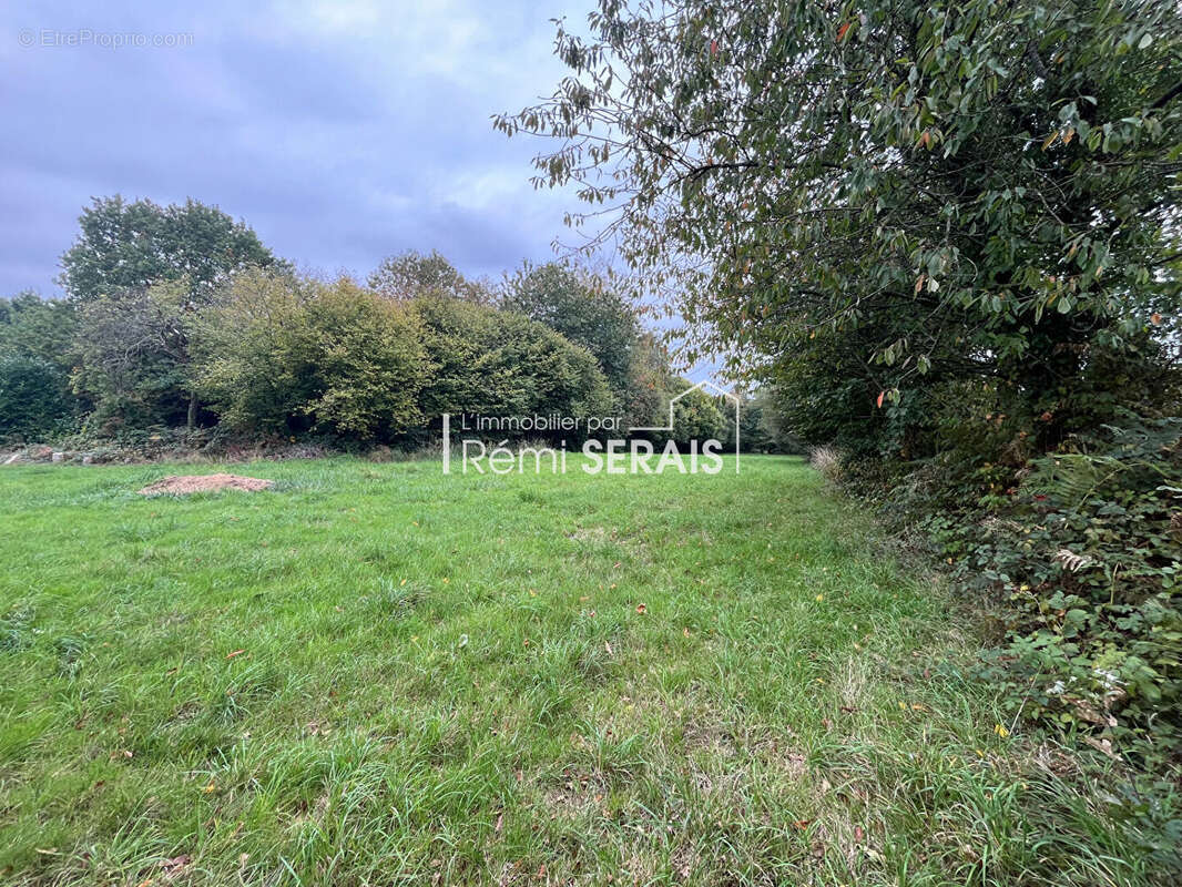 Maison à SAINT-ROCH-SUR-EGRENNE