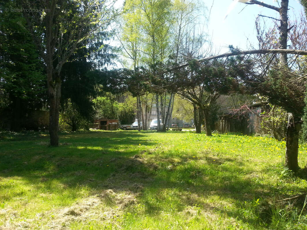 Maison de caractère avec grand terrain au cœur de Lapalisse - Actuellement louée - photo 7