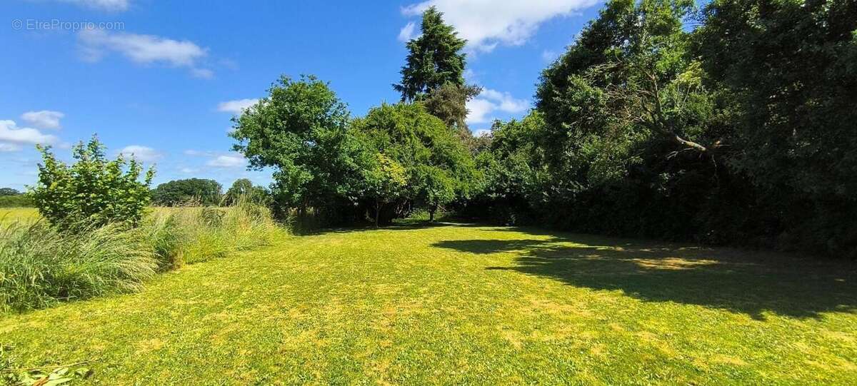 Photo 5 - Terrain à LE PAS-SAINT-L&#039;HOMER