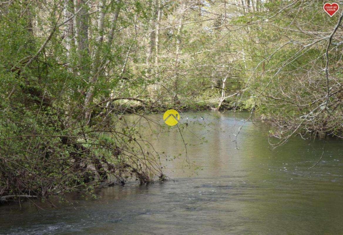 Maison à ARGENT-SUR-SAULDRE