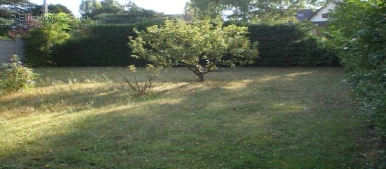 Terrain à SAINT-GERMAIN-LES-ARPAJON