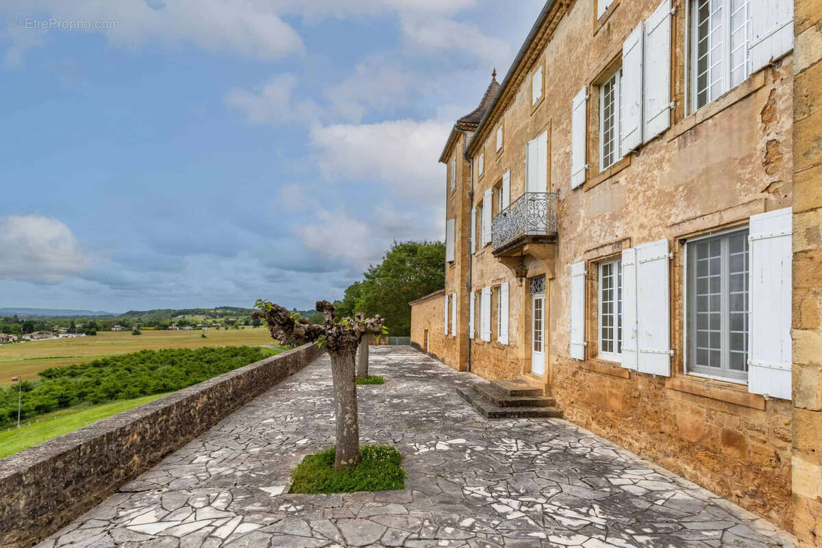 Chateau estate - photo 10
