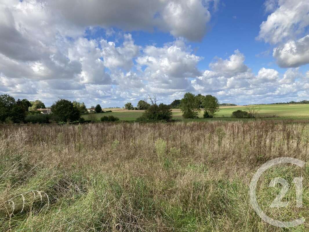 Terrain à VIEUX-CHAMPAGNE