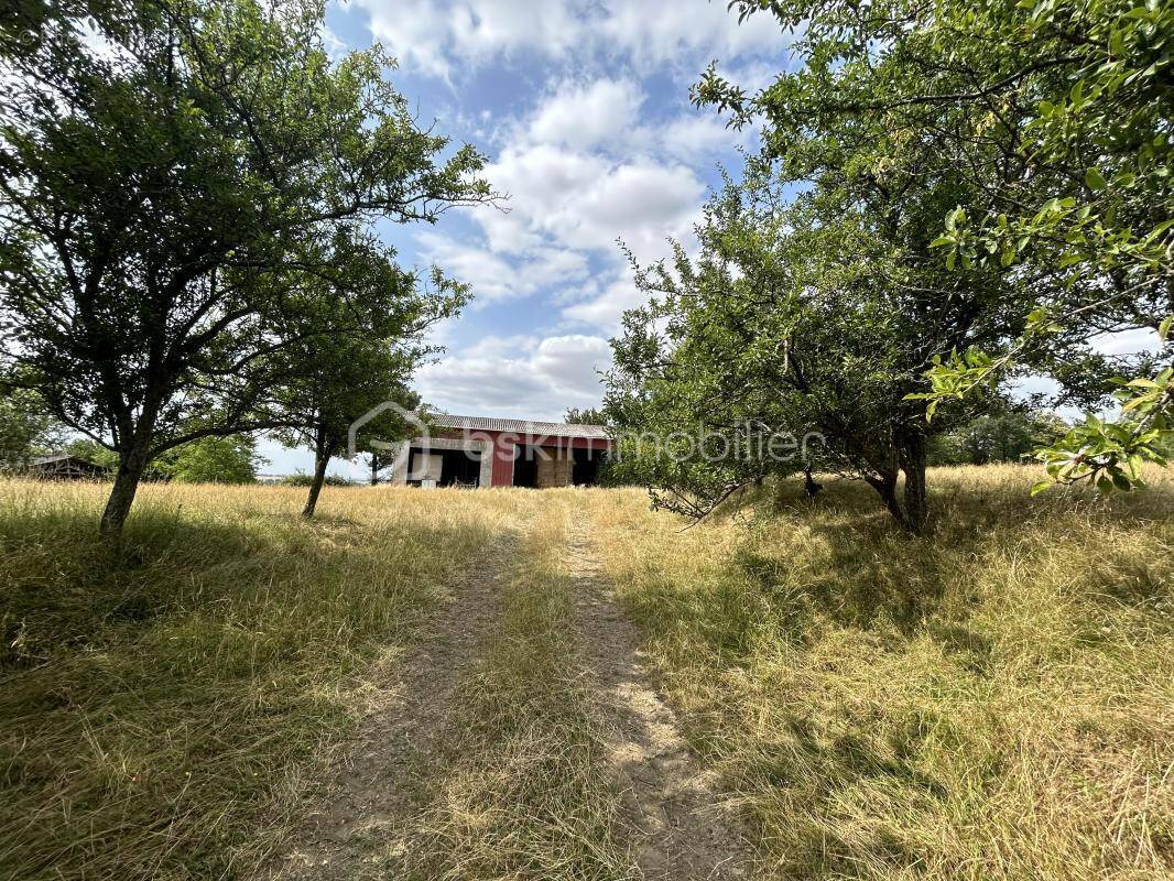 Terrain à BRAINS-SUR-GEE