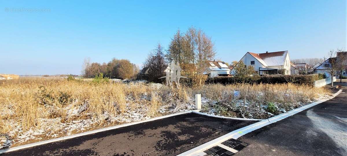 Terrain 379 m² à Nordhouse  - photo 95