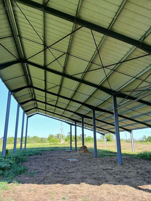 Terrain à SAINT-MARTIN-DE-RIBERAC