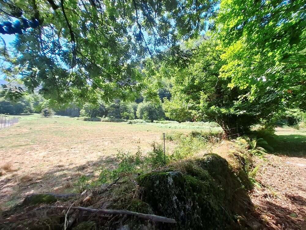 Terrain à SAINT-BEAT