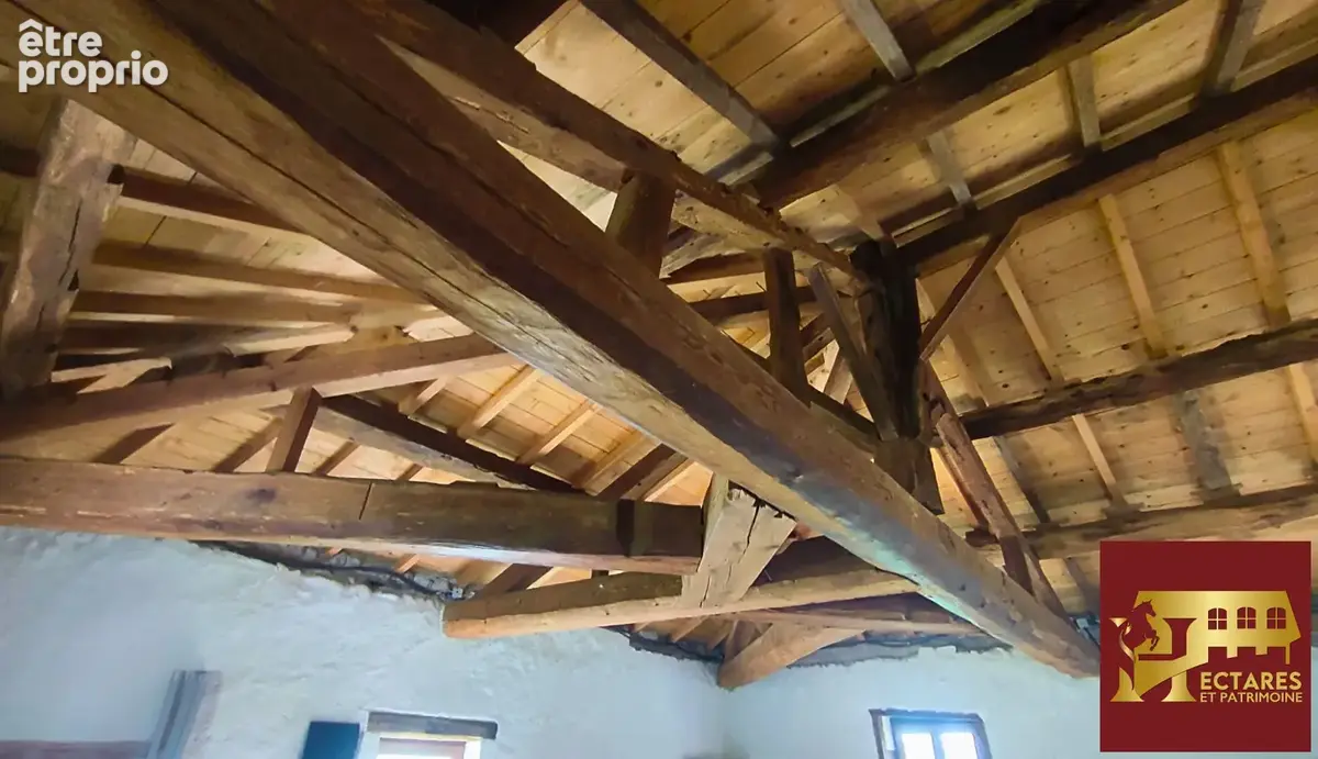 Ancien Moulin 4,3 hectares - photo 9