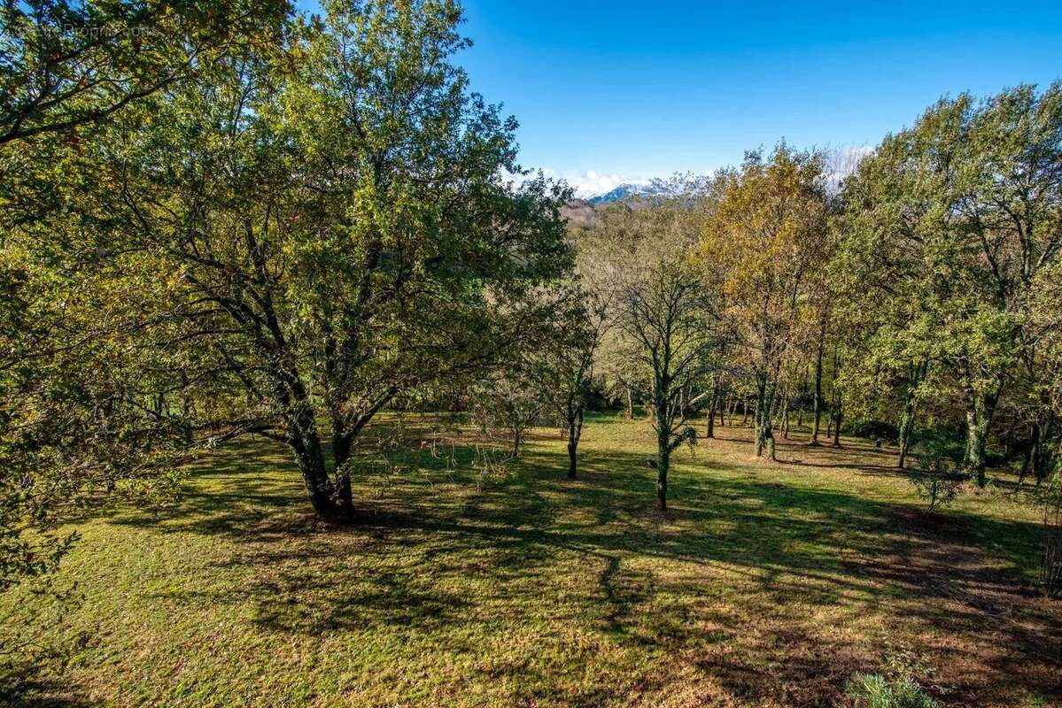 Souraïde Vente Maison 5 pièce(s) - photo 5