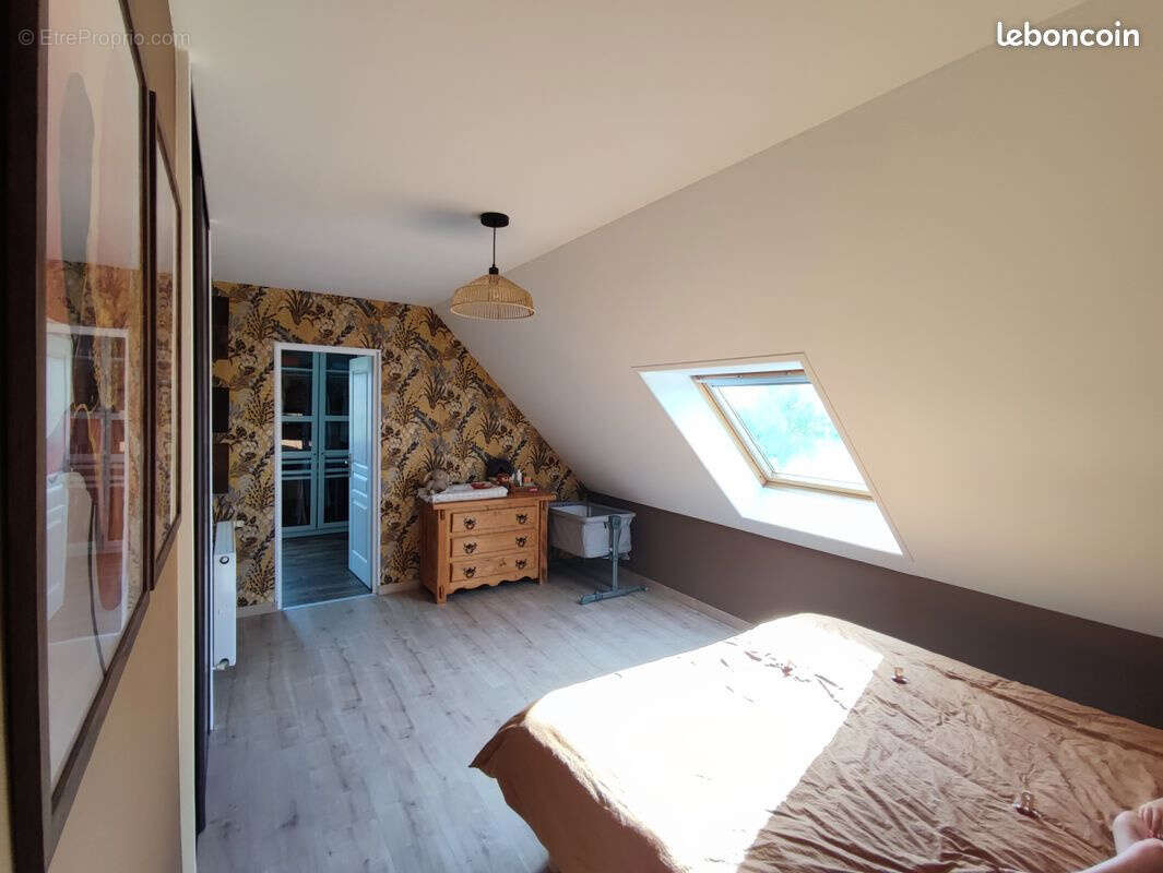 Nouveaute - brouckerque _pavillon semi-individuel de 158 m2 - photo 6