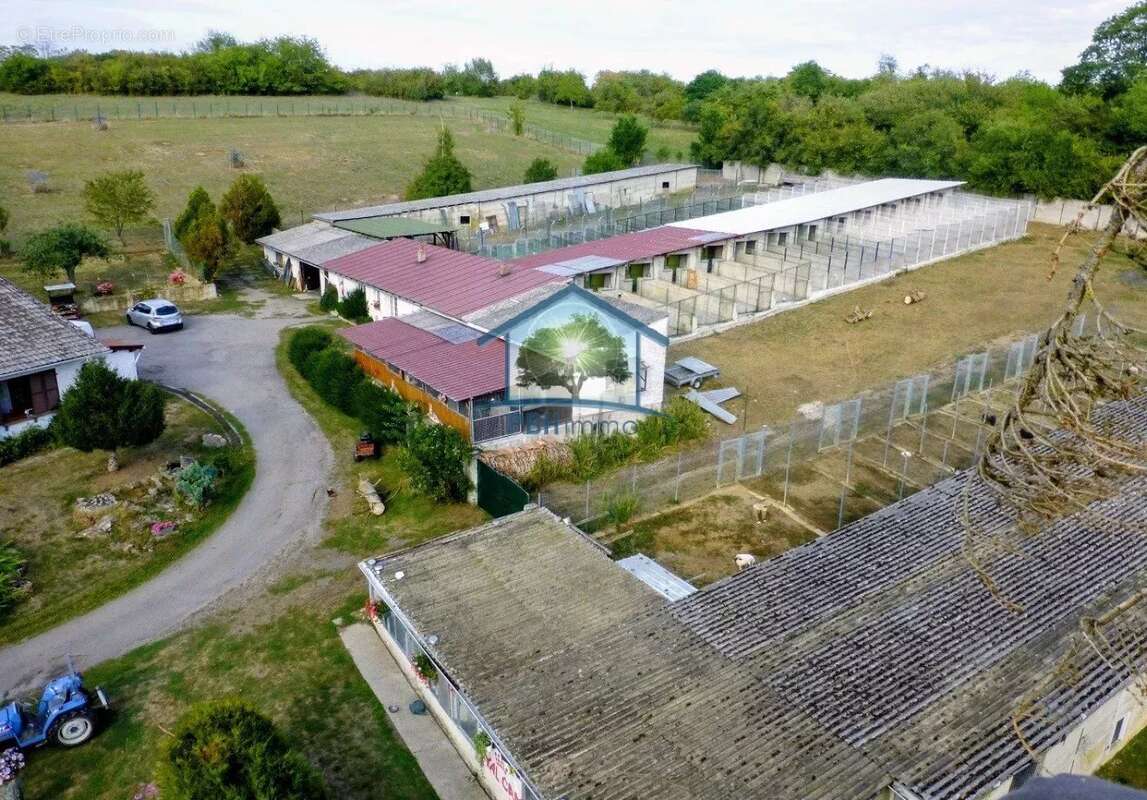 Maison à NIEDERMODERN