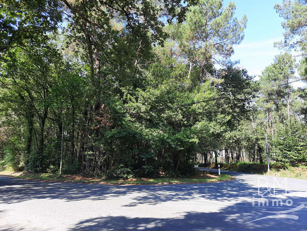 Terrain à BENESSE-MAREMNE