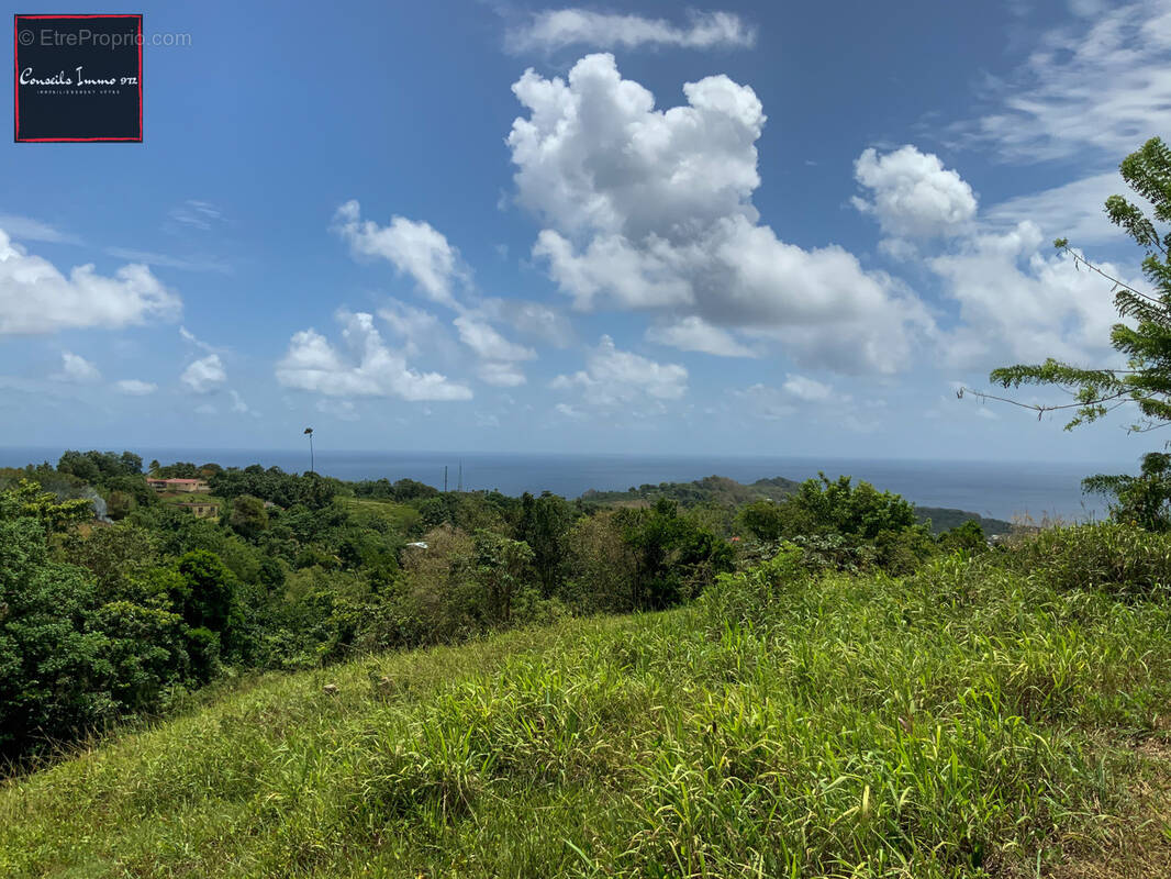 Terrain à SAINTE-MARIE
