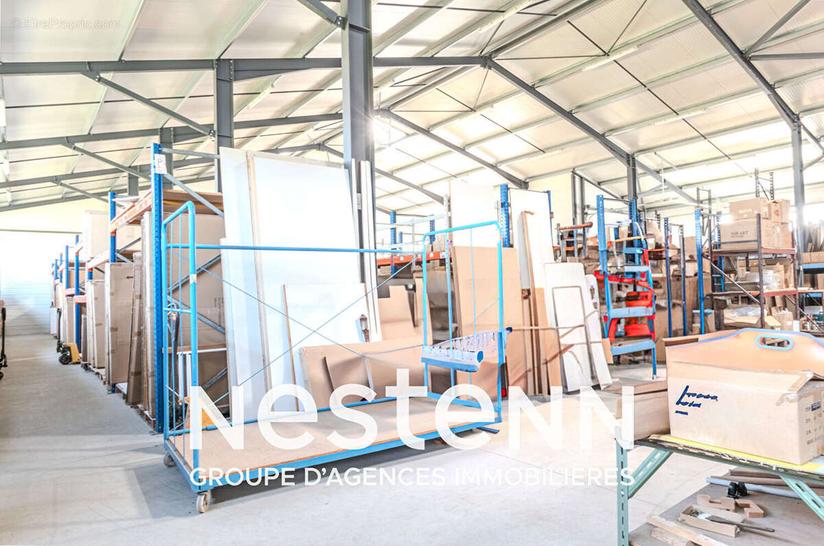 Commerce à PAMPELONNE