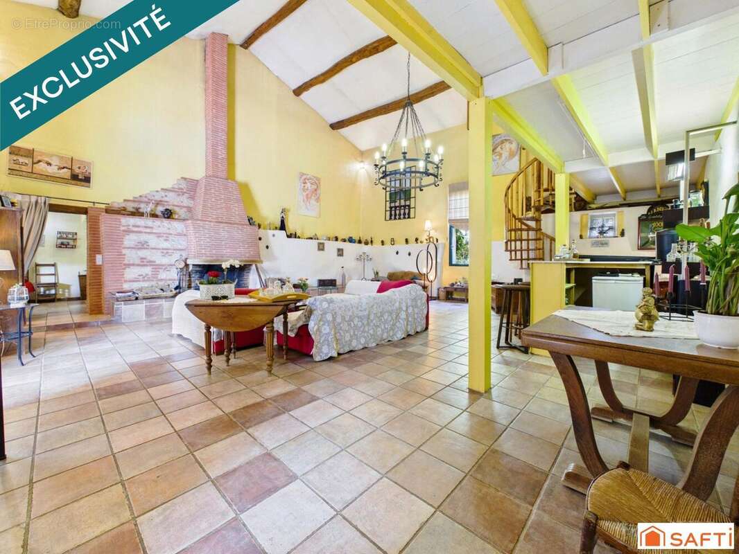 Maison 570 m² à La Magdelaine-Sur-Tarn  - photo 8