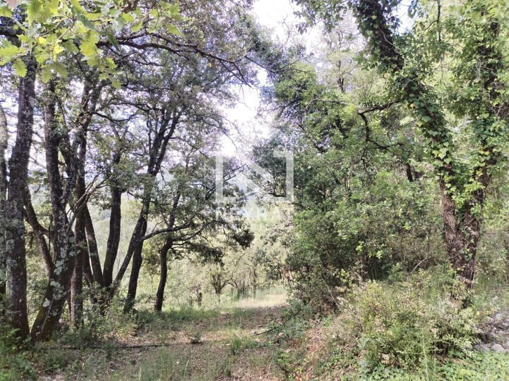 Montauroux - superbe terrain en zone naturelle   5 hectares ! - photo 8