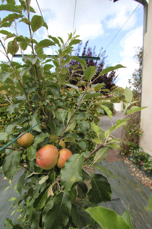 Maison à AIRE-SUR-L'ADOUR