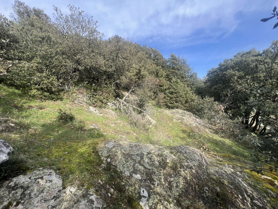 Terrain à SAINT-PERAY