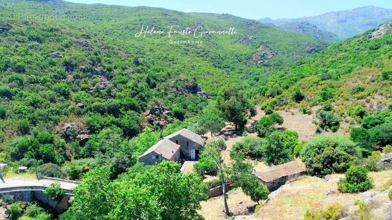 Ancien Moulin en Pierre avec dépendances sur près de 2,3 hectares – Santo-Pietro-di-Tenda - photo 11