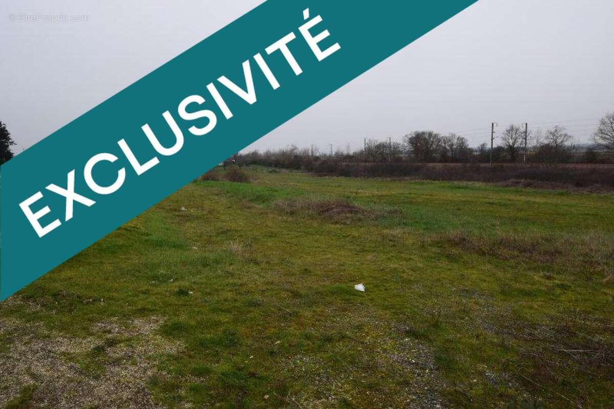 Photo 4 - Terrain à TOULON-SUR-ALLIER