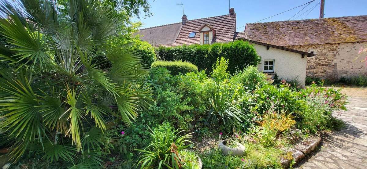 Photo 9 - Maison à LA ROCHE-POSAY