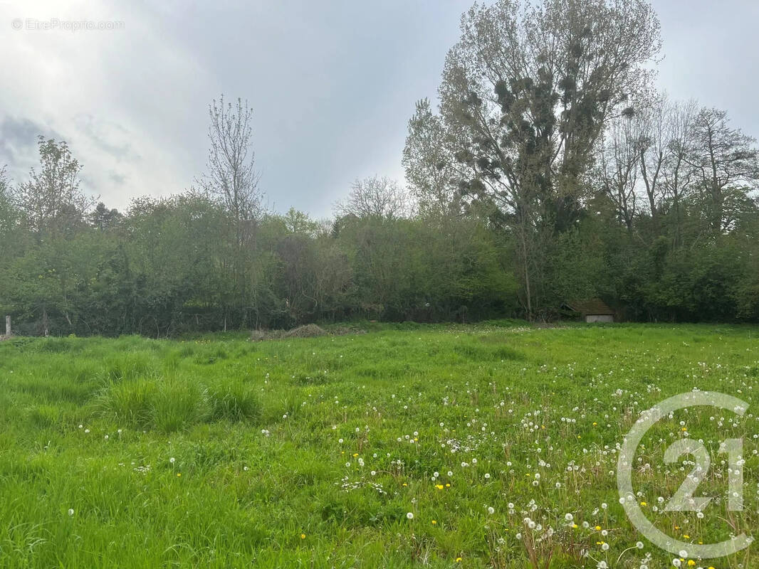 Terrain à LA CHAPELLE-REANVILLE