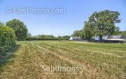 Terrain à SAINT-GILDAS-DES-BOIS