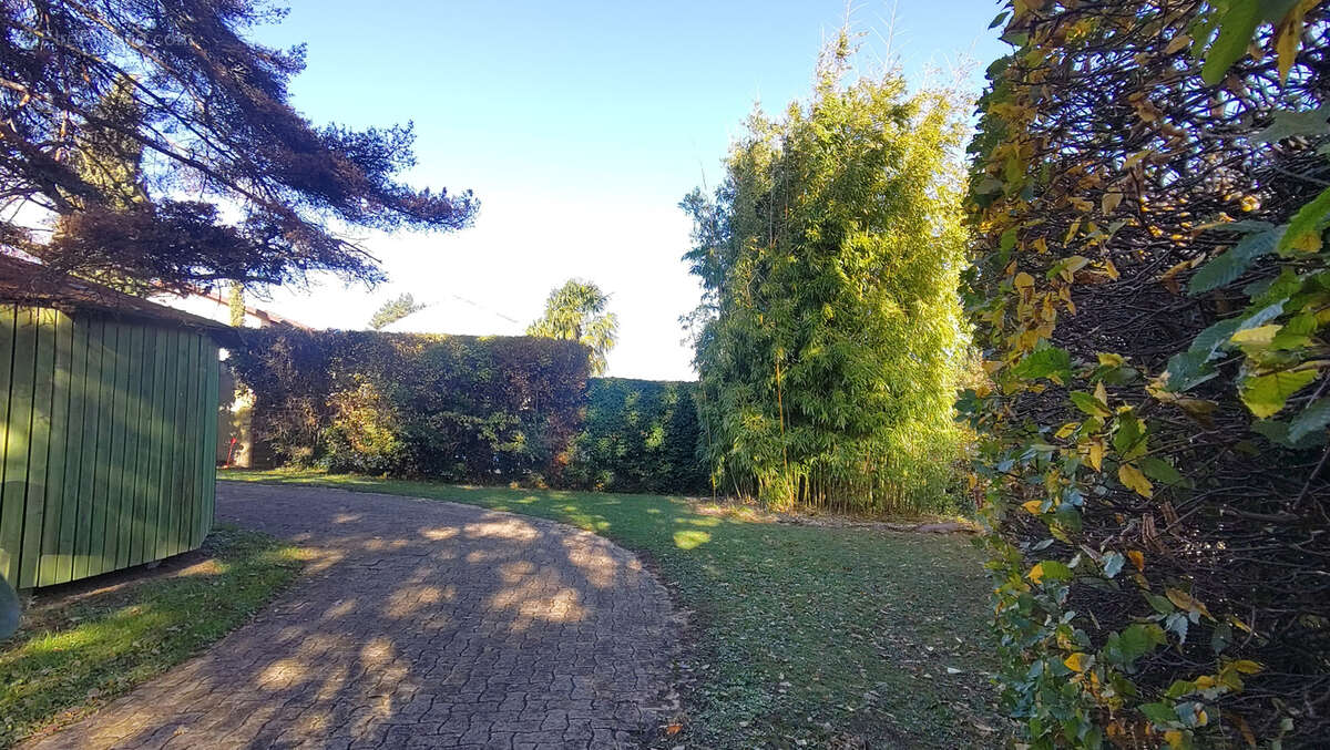 Terrain à CHAZAY-D&#039;AZERGUES