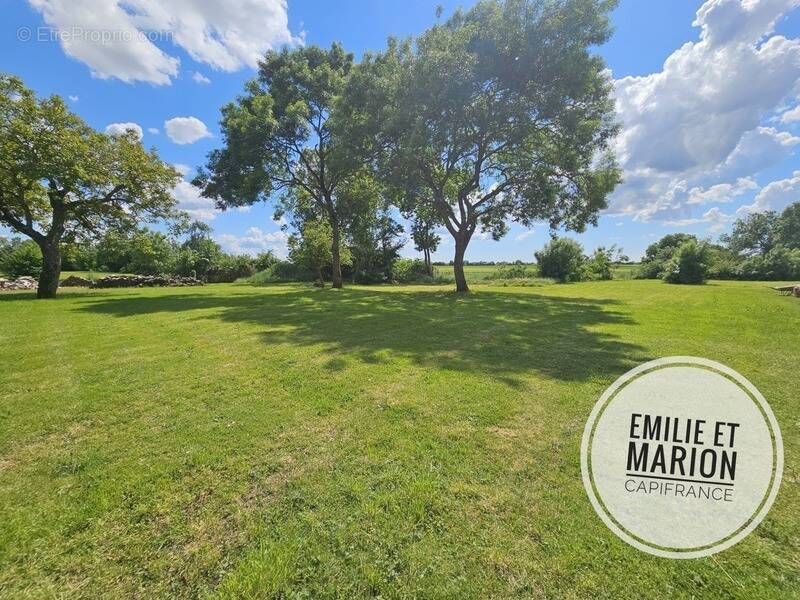 Terrain à SAINT-GEORGES-DU-BOIS