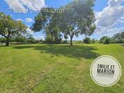 Terrain à SAINT-GEORGES-DU-BOIS