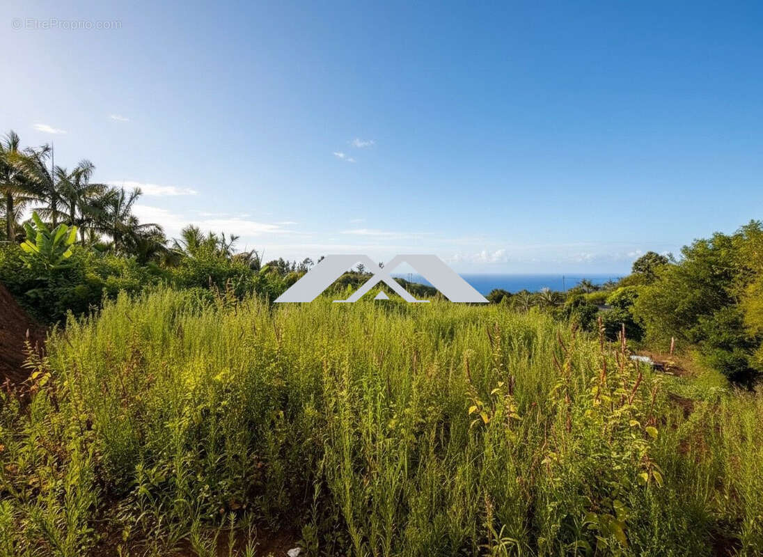 Maison à PETITE-ILE