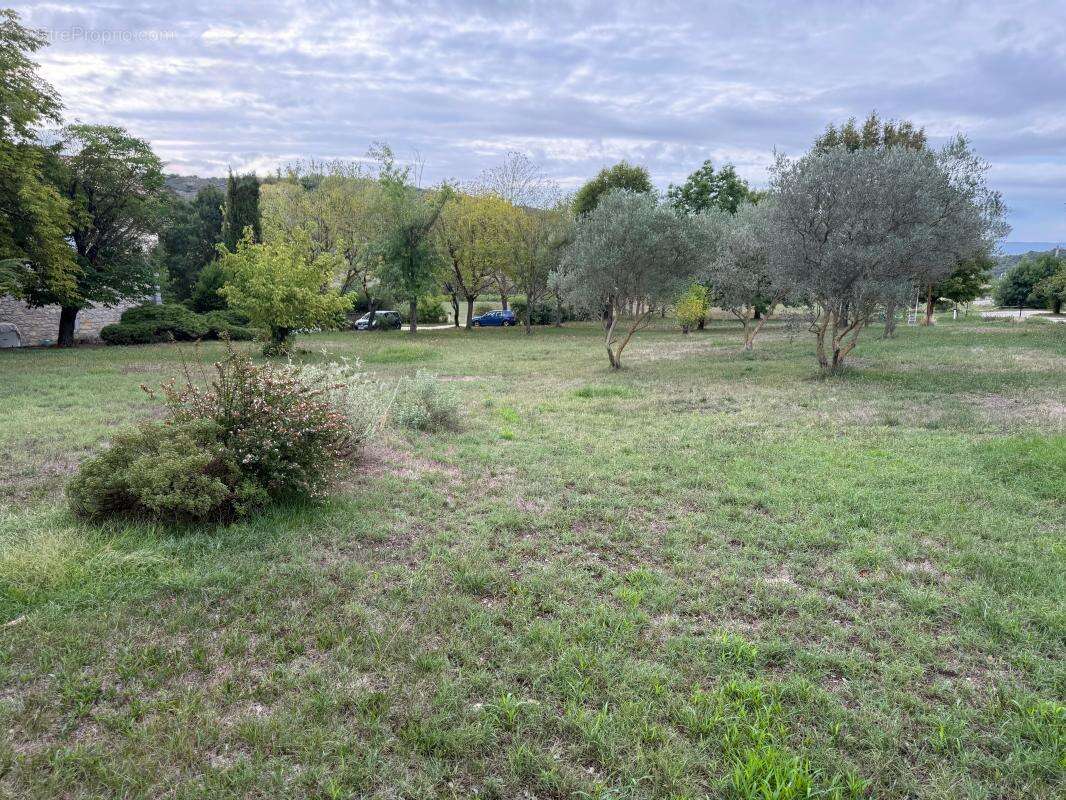 Terrain à VILLENEUVE-DE-BERG