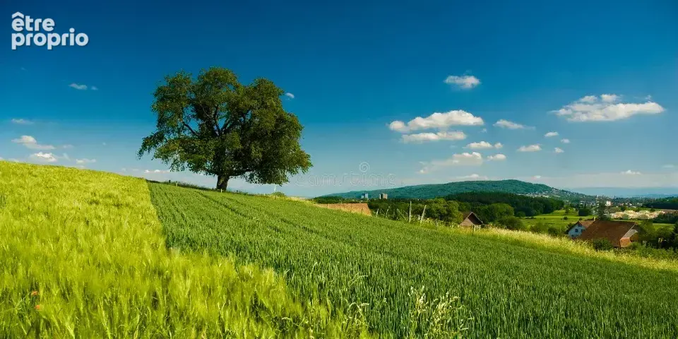 Terrain à BEAUMONT-LA-RONCE