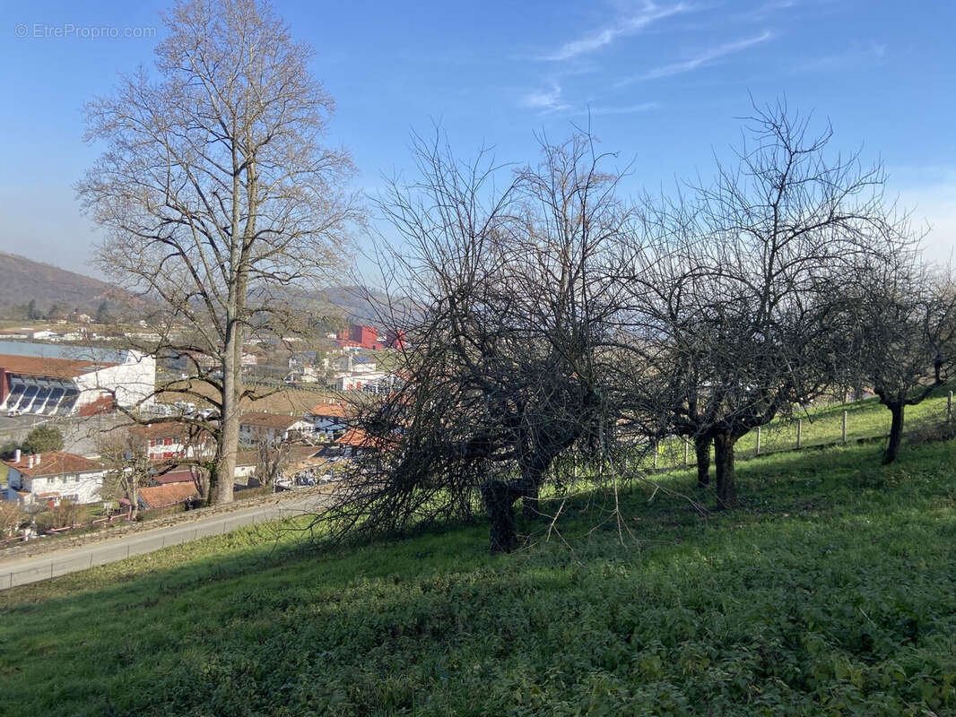 Photo 3 - Terrain à SAINT-JEAN-PIED-DE-PORT