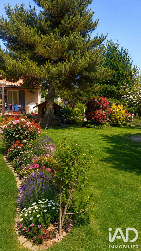 Maison 169 m² à Aurel  - photo 8