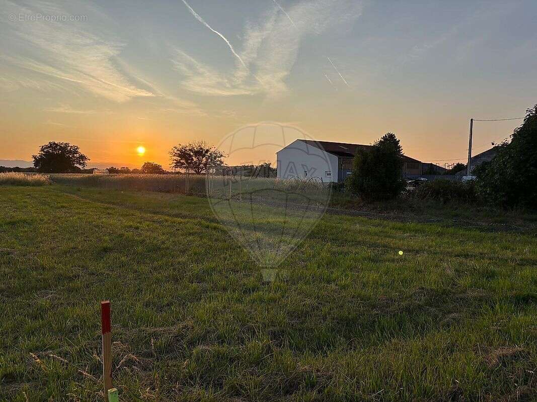 Terrain à DESSENHEIM