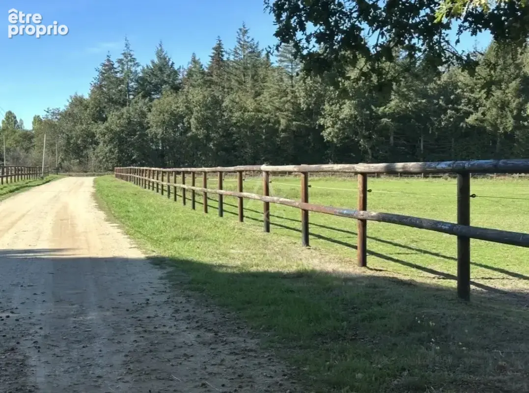 Haras de 32 hectares  3 pistes & Une ligne droite - 30 boxes - photo 1