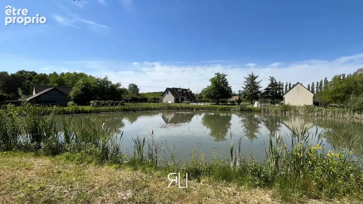 Propriété d'exception avec étang - photo 2