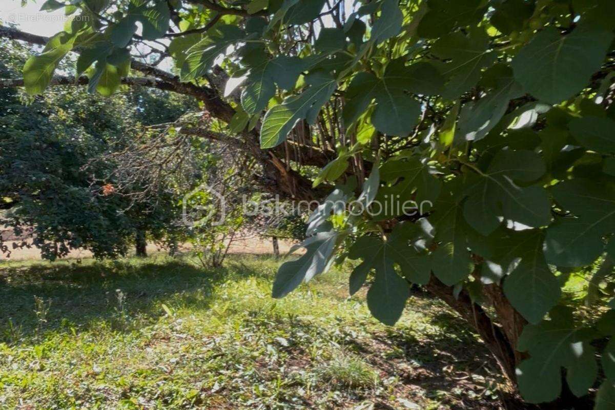 Maison en pierre 110 m² – 4 chambres – Terrain 1 835 m² – Hautefort - photo 20