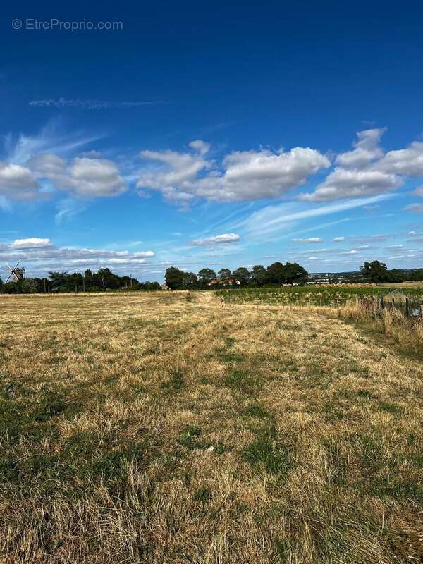 Terrain à LA CHAPELLE-SAINT-FLORENT