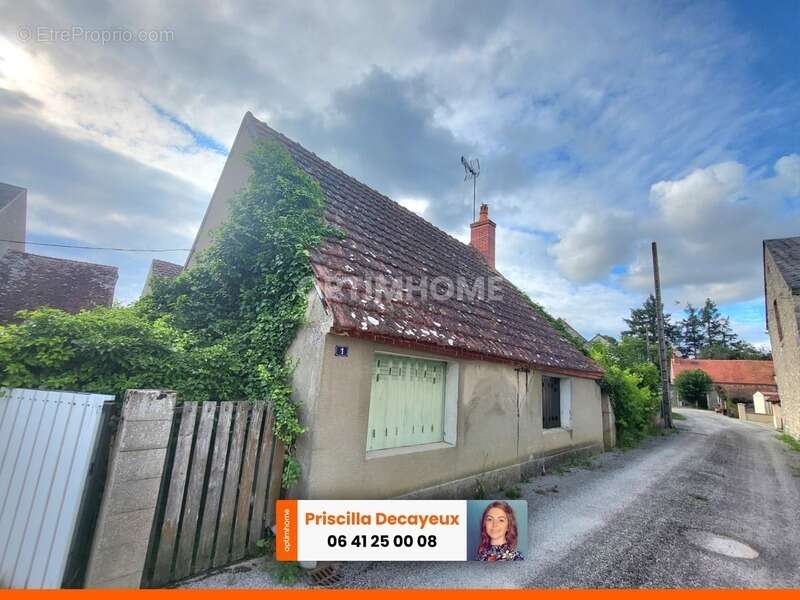 Maison à CHATEAU-SUR-ALLIER