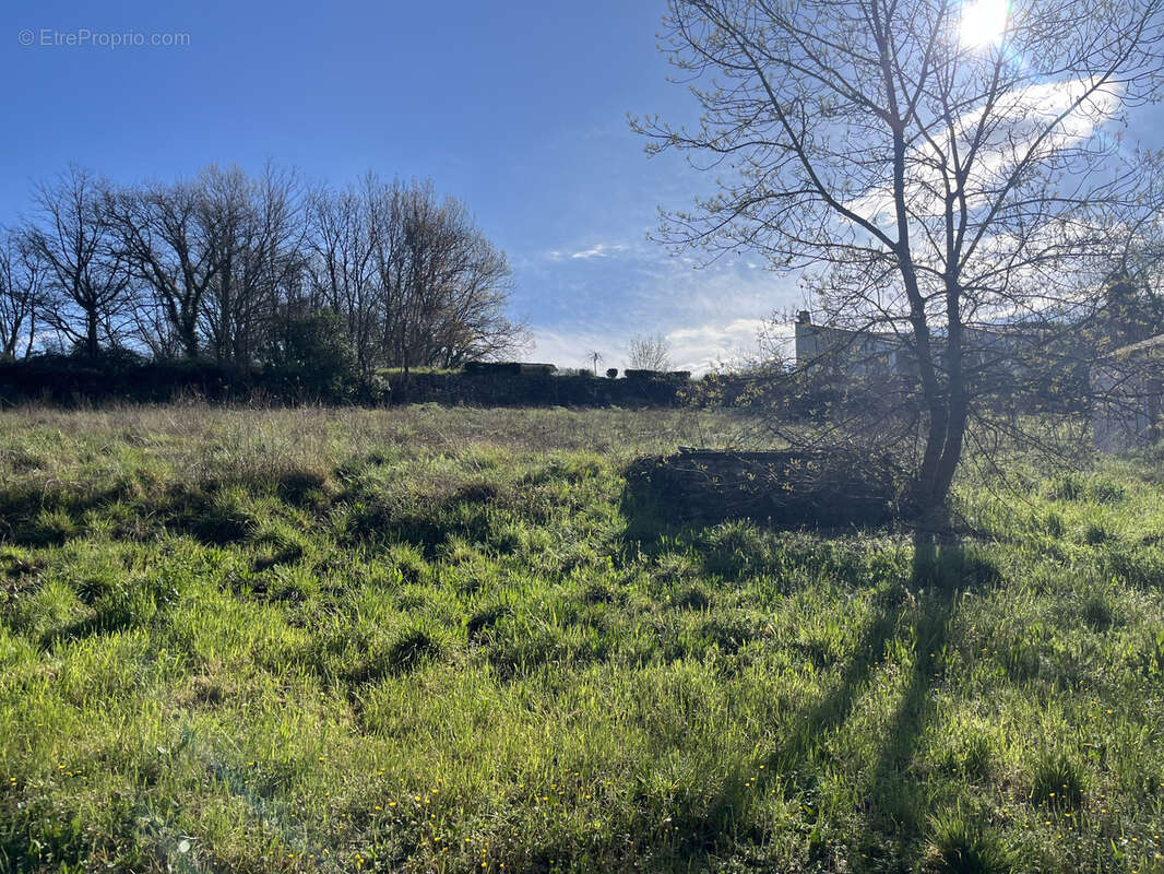 Terrain à SAINT-BAUZILLE-DE-PUTOIS