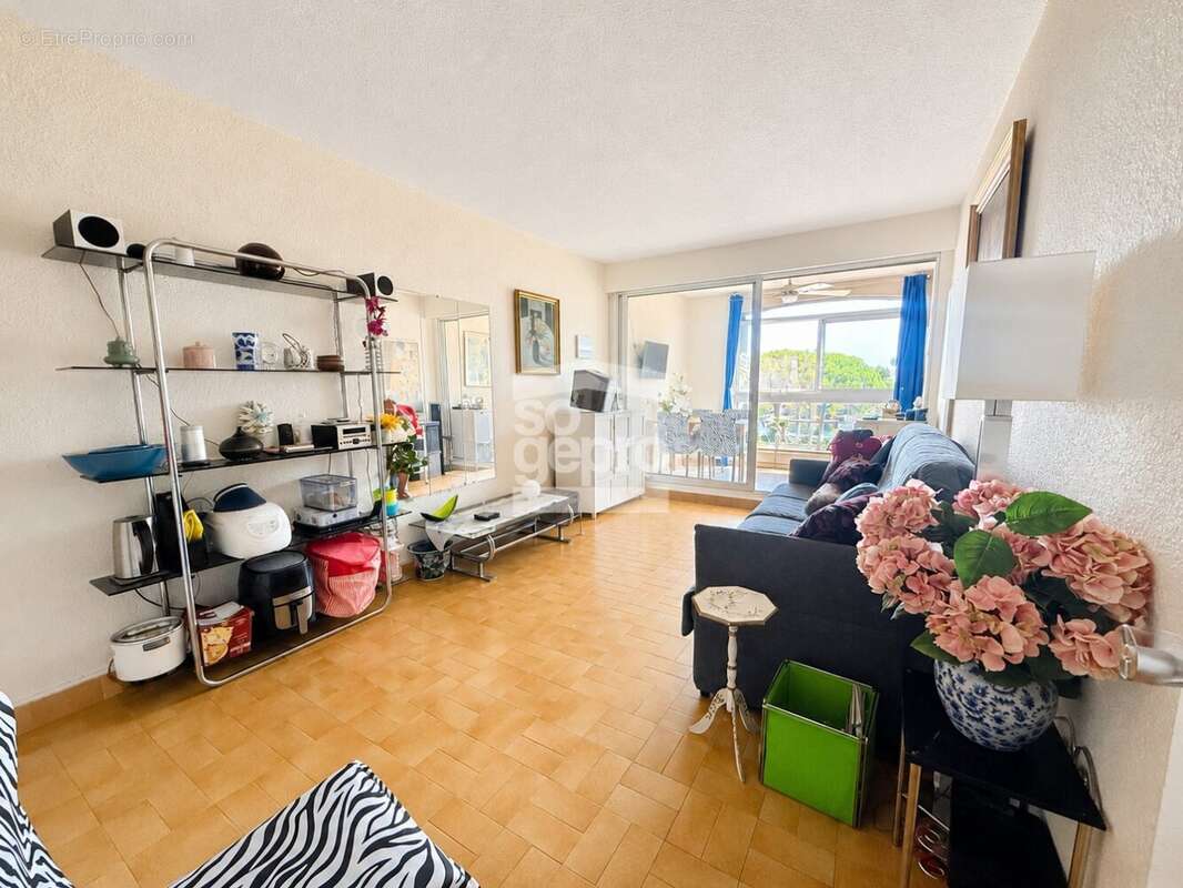 Réf : 2066 - Vente Grand Appartement traversant 3 Pièces dans résidence avec piscine et ascenseur ! - photo 4