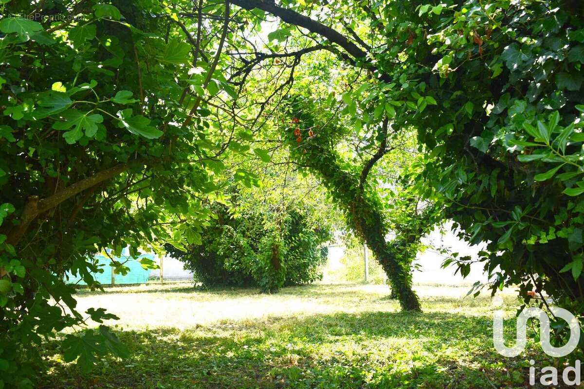 Photo 4 - Maison à SAINT-PIERRE-D&#039;OLERON