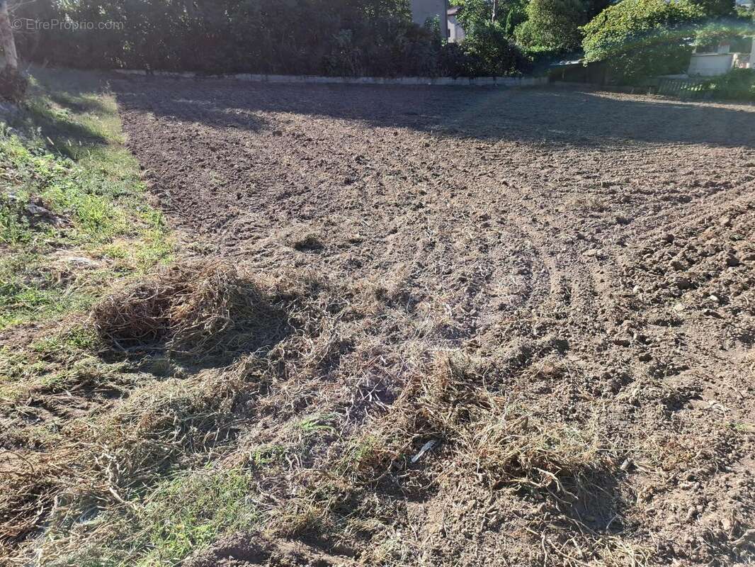 Photo 2 - Terrain à AIGUEFONDE